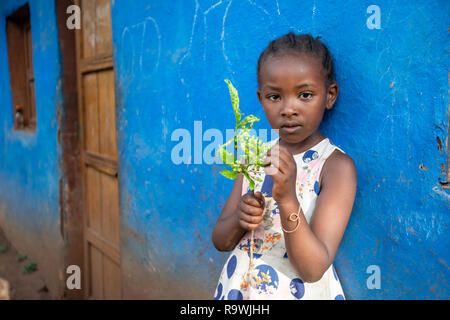 Ari tribù villaggio della valle dell'Omo, Etiopia Foto Stock