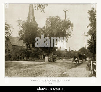 Washington Elm e monumento di pietra, Cambridge, Massachusetts, Stati Uniti, antichi fotografia americana, 1893 Foto Stock