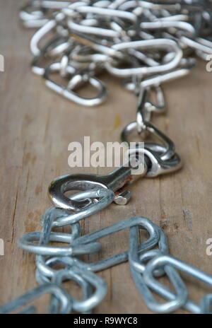 Cane in acciaio inossidabile e collana catena sul pannello di legno Foto Stock