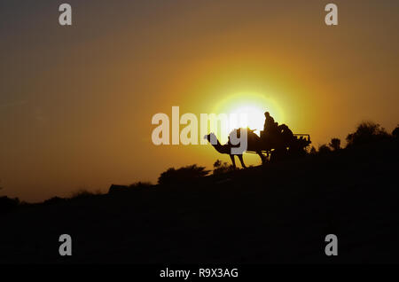 Silhouette di un cammello carrello il cammello e il trasporto di turisti in Sam dune di sabbia, Jaisalmer, Rajasthan. Situato nel mezzo del deserto del Thar Foto Stock