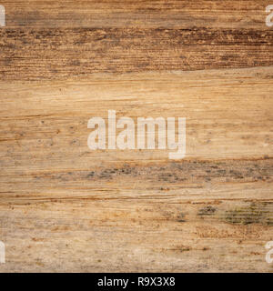 Banana tailandese sfondo della carta, Banana Plank carta viene creato mediante perforazione grandi foglie di banano insieme e li appoggio con buratto. Foto Stock