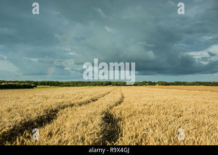 Le tracce delle ruote sul campo e cielo molto nuvoloso Foto Stock