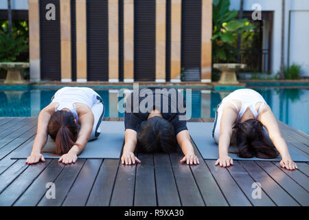 Fitness, sport e stile di vita sano concetto - gruppo di persone con personal trainer facendo esercizi yoga su stuoie in natura. Foto Stock