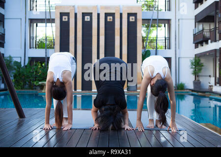 Fitness, sport e stile di vita sano concetto - gruppo di persone con personal trainer facendo esercizi yoga su stuoie in natura. Foto Stock