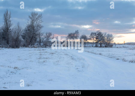 Strada e foresta con neve nella stagione invernale Foto Stock