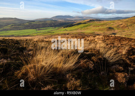 Cairnsmore della flotta, Galloway colline, Dumfries & Galloway, Scozia Foto Stock