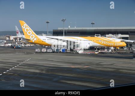 TOKYO, Giappone - 5 dicembre 2016: Scoot Boeing 787 Dreamliner è parcheggiato all'Aeroporto Narita di Tokyo. L'aeroporto è il secondo aeroporto più trafficato del Giappone (af Foto Stock