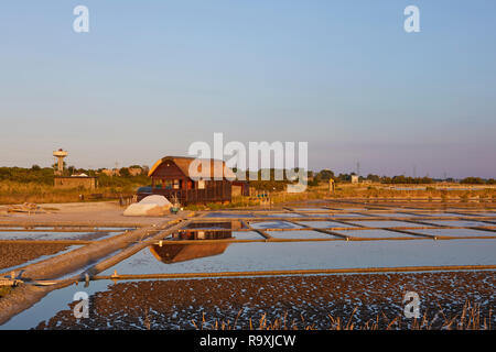 I campi di sale al tramonto a Cervia, Provincia di Ravenna, Italia Foto Stock