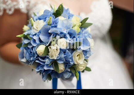 Sposa tiene in mano un bellissimo matrimonio bouquet di rose e ortensie blu Foto Stock