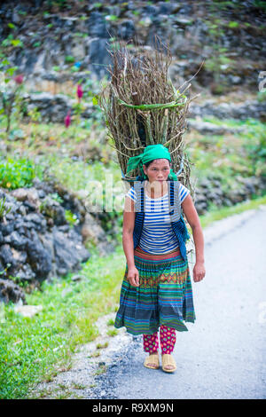 L'agricoltore vietnamita in un countrside vicino Ha Giang Vietnam Foto Stock