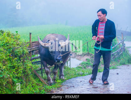 L uomo dalla Red Dao in minoranza in un villaggio vicino a Ha Giang in Vietnam Foto Stock