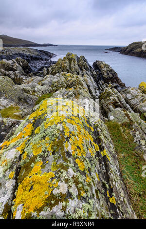Il Lichen rocce coperte, Kilchiaran Bay, Rhinns di Islay, Ebridi Interne, Argyll & Bute, Scozia Foto Stock