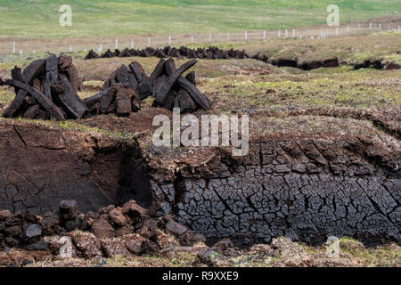 Estrazione di torba in bog / brughiera mostra pile di raccolte torba essiccazione per essere usato come combustibile tradizionale, isole Shetland, Scotland, Regno Unito Foto Stock