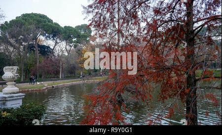 Piscina di acqua, El Retiro Park di notte, Madrid, Spagna Foto Stock