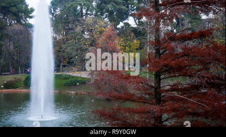 Piscina di acqua, El Retiro Park di notte, Madrid, Spagna Foto Stock