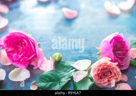 Peonia Rosa Rose, petali e foglie su un umido sullo sfondo delle piogge nella luce del mattino. Intestazione della molla con spazio di copia Foto Stock