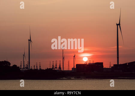 Tramonto a un argine, porto di Anversa, Belgio. Foto Stock