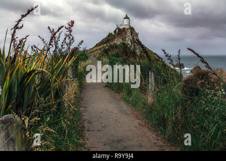 Nugget Point, Otago, Isola del Sud, Nuova Zelanda Foto Stock