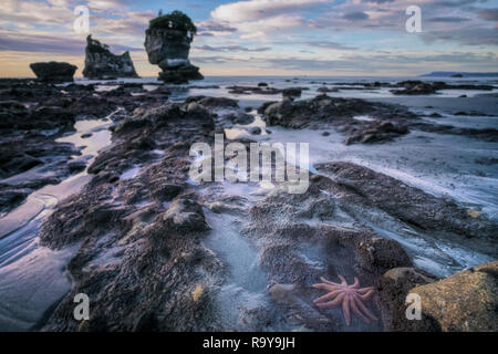 Motukiekie Beach, a Greymouth, Isola del Sud, Nuova Zelanda Foto Stock