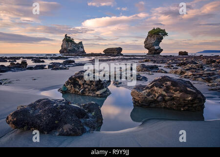 Motukiekie Beach, a Greymouth, Isola del Sud, Nuova Zelanda Foto Stock