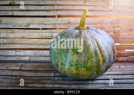 Zucca verde sullo sfondo di bambù / prodotto dell'agricoltura locale in zucca tailandese Foto Stock