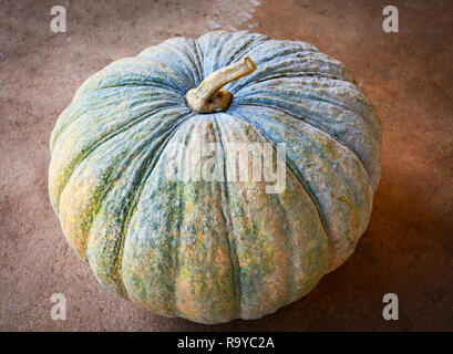 Zucca verde sul pavimento / prodotto dell'agricoltura locale in zucca tailandese Foto Stock