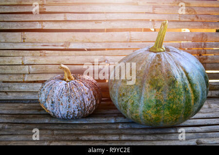 Zucca verde sullo sfondo di bambù / prodotto dell'agricoltura locale in zucca tailandese Foto Stock