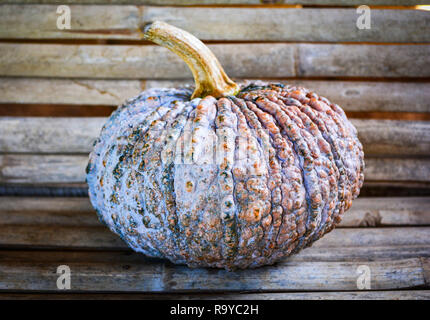 Zucca verde sullo sfondo di bambù / prodotto dell'agricoltura locale in zucca tailandese Foto Stock