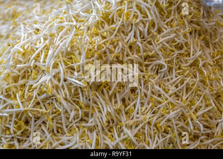 Un mucchio di germogli di soia in un mercato asiatico in Siem Reap. Foto Stock