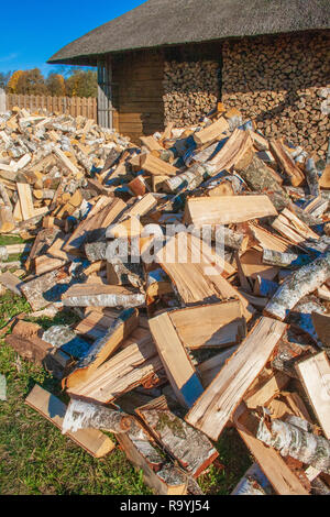 Pila e la parete del taglio di legno di betulla e impilata ciocchi di legna pronto per l'inverno, in piedi sul prato vicino a un tipico lituano casa in legno Foto Stock