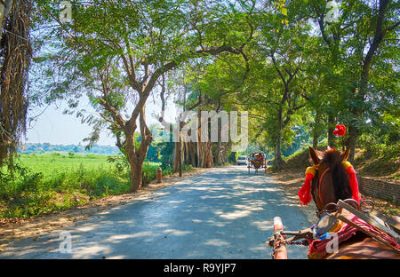 La strada ombreggiata di antica Ava (Inwa) è piena di turista carrelli A cavalli, equitazione lungo i terreni agricoli, giungle e antichi monumenti, Myanmar Foto Stock