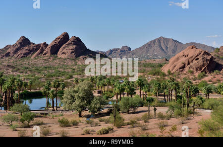 Papago parco municipale in periferia di Phoenix e Tempe, AZ, con scenario desertico più piccolo lago, palme, rocce, STATI UNITI D'AMERICA Foto Stock