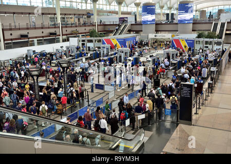 Screening di sicurezza con linee di attesa i passeggeri all'Aeroporto Internazionale di Denver (DEN), Colorado, STATI UNITI D'AMERICA Foto Stock