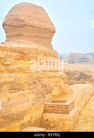 La Grande Sfinge si siede sul pianoro della Necropoli di Giza e feci il vecchio quartiere residenziale della città di Giza in Egitto Foto Stock