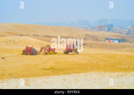 GIZA, Egitto - 20 dicembre 2017: il piccolo gruppo di cameleers con animali sedersi sulla sabbia nel sito archeologico di Giza in Egitto il 20 dicembre in gi Foto Stock