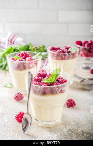 In casa estate dessert in vetro, panna cotta con lampone, dieta, uno snack leggero, pietra di luce sullo sfondo concreto spazio di copia Foto Stock