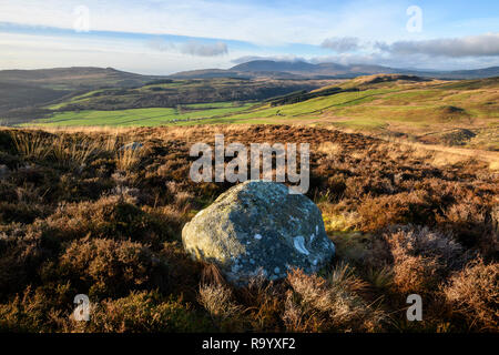Cairnsmore della flotta, Galloway colline, Dumfries & Galloway, Scozia Foto Stock