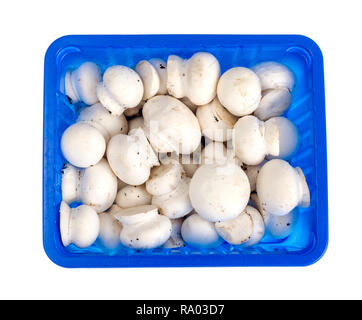 Carni poco bianco Champignon in blu forma plastica. Foto Studio Foto Stock