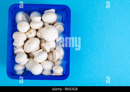 Carni poco bianco Champignon in blu forma plastica. Foto Studio Foto Stock