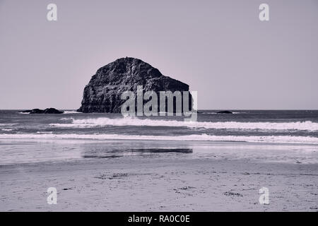 Trebarwith strand e gull rock, Cornwall, immagine in bianco e nero con spazio di copia Foto Stock