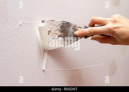Spelatura di vecchia vernice dalla parete. Il rinnovamento e la verniciatura delle pareti nell'appartamento. Luogo - home farm. Foto Stock