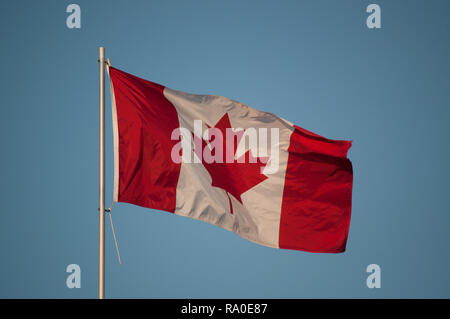 Bandiera canadese su un pennone sventolare nel vento Foto Stock