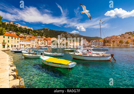 La citta di Hvar con Seagull's volando sopra la città di lusso famosa destinazione di viaggio in Croazia. Barche sull'isola di Hvar, una delle tante isole vicino a Dubrovnik Foto Stock