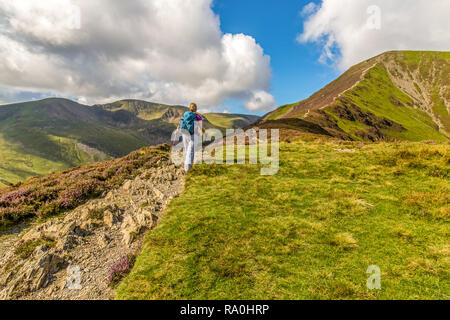 Escursionista femmina sul ferro di cavallo Coledale Trail, camminando verso Grisedale Pike nel Parco Nazionale del Distretto dei Laghi, Cumbria, Inghilterra. Foto Stock