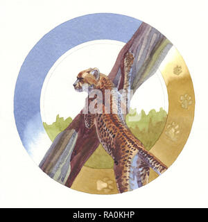 Dipinti ad acquerello Leopard su un multicolore sfondo rotonda Foto Stock