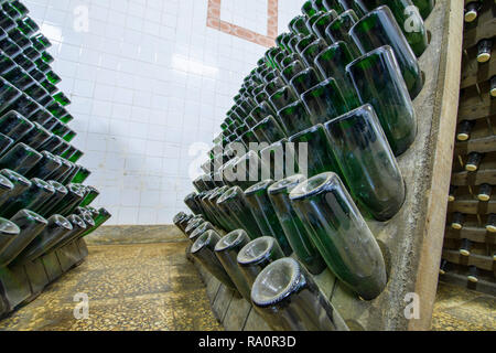 Sala di deposito bianco di bottiglie di vino spumante nelle Cantine della cantina vino spumante la fermentazione su cavalletti Foto Stock