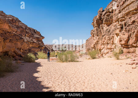 Canyon Colorato a Nuweiba Dahab Egitto . Canyon Colorato è una formazione rocciosa sulla penisola del Sinai. Si tratta di un labirinto di rocce, alcuni di loro hanno circa 40 Foto Stock