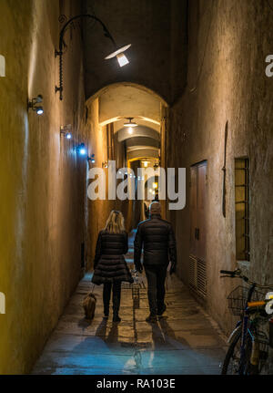 Bolzano in serata durante il tempo di Natale. Trentino Alto Adige, Italia. Foto Stock