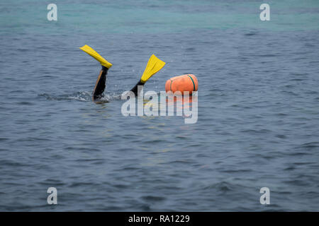 Diving lady di Jeju in azione. La voce delle donne torna al di sotto di nuovo con due palme giallo e cesto su visibile Foto Stock