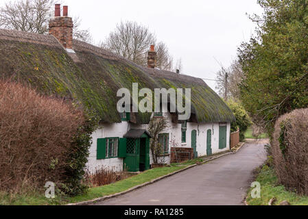 Cottage con il tetto di paglia con moss su tetti, grande Bedwyn, Wiltshire, Regno Unito Foto Stock